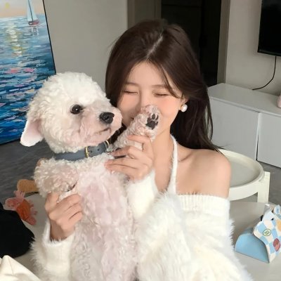 兔子陷阱 海报